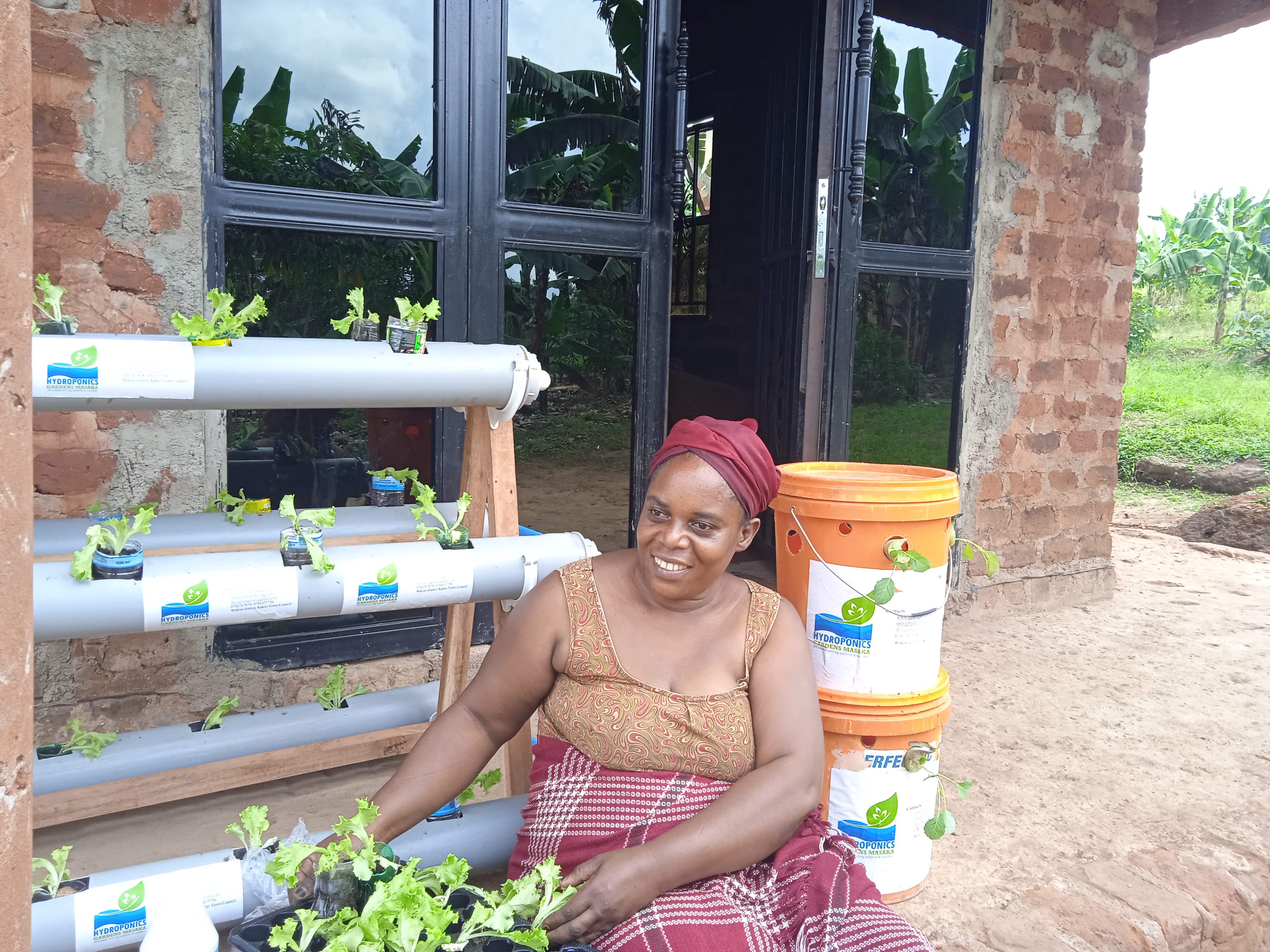 Simplified and affordable hydroponics gardens 